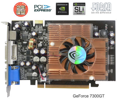 FORSA GeForce7300GT